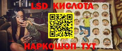 прущие грибы Нальчик